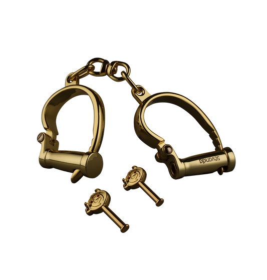 LOCKINK seanda true love handcuffs BDSM Product[X2 Restraint-008]